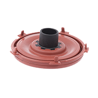 Diaphragms with insert